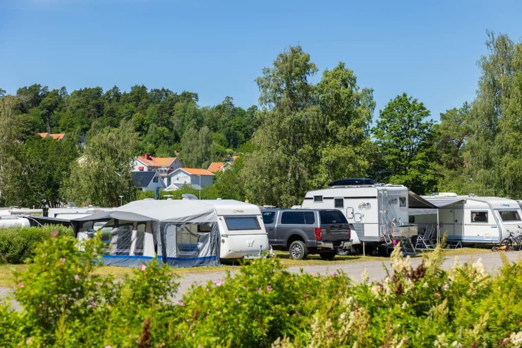 First Camp Kolmården – Norrköping – camping nära djurpark och Bråviken med stugor och naturnära upplevelser.
