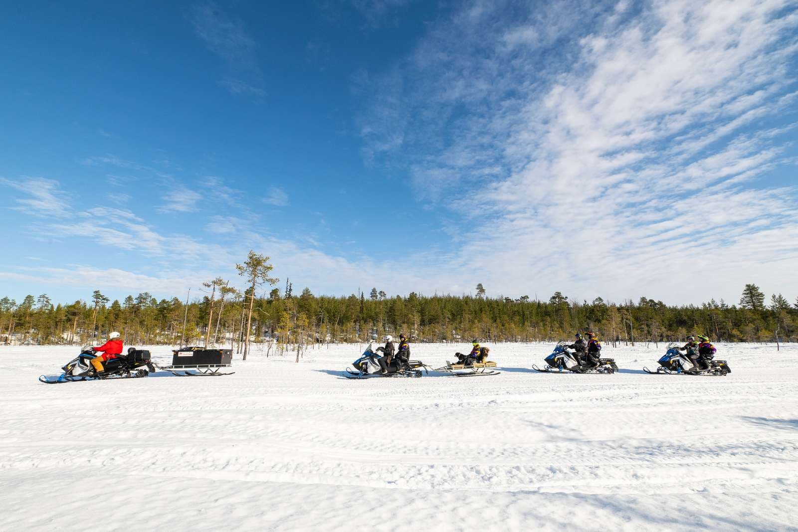 Vinteraktiviteter och snöskoter på campingen First Camp Ansia - Lycksele