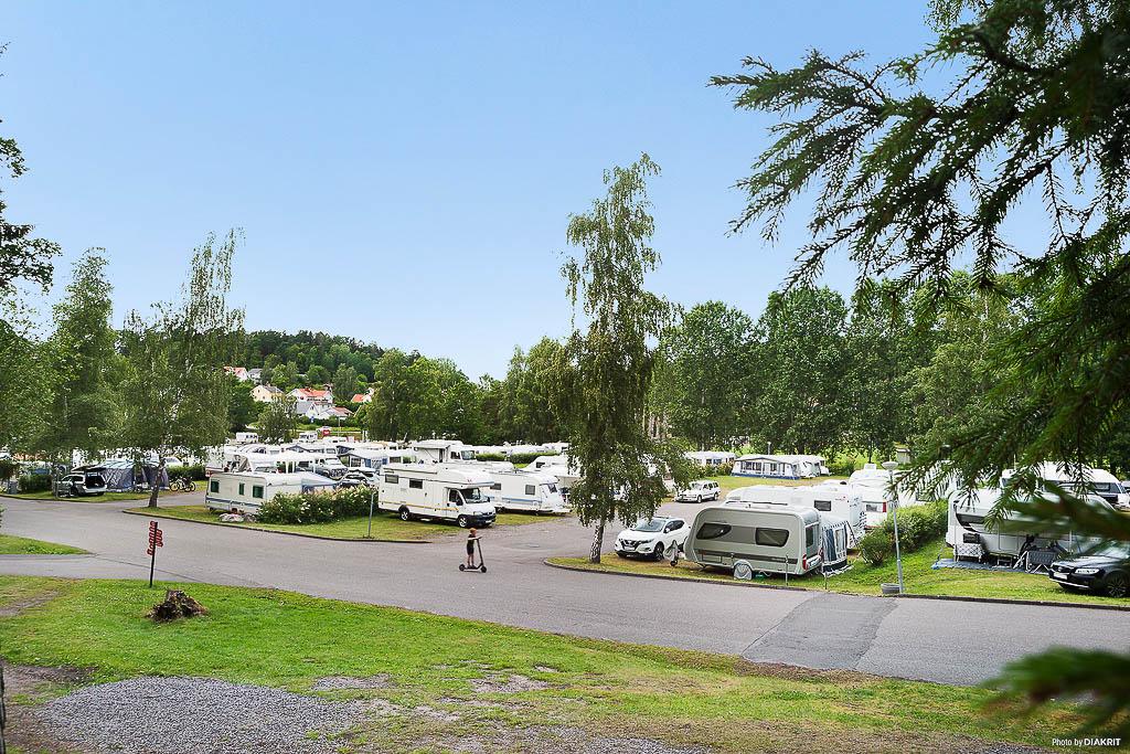 Camping i Kolmården - Norrlöping